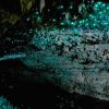 Пещера Светлячков:  звездное небо системы Вайтомо 