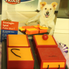 Trixie Развивающая игрушка для собак "Poker Box"