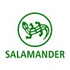 Salamander - моя самая любимая марка обуви