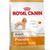 На фото изображен корм "Royal Canin" для пуделей.