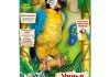Интерактивный попугай Hasbro "Умный Кеша"