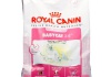 Royal Canin BABYCAT