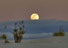 Пустыня белых песков, долина Тулароза (США)