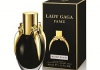 Lady Gaga Fame