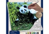 Набор для раскрашивания по номерам Royal & langnickel "Panda"