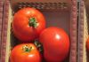 Томаты Дебют F1 отзывы