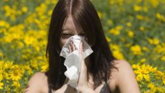 How to get rid of allergies folk remedies