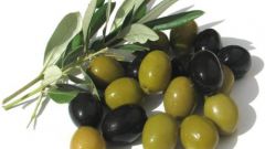Как солить оливки