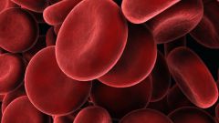 Как повысить гемоглабин в крови