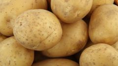 How to cook boiled potatoes