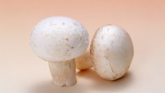 How to fry fresh mushrooms