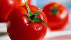 Как подготовить семена томатов на рассаду