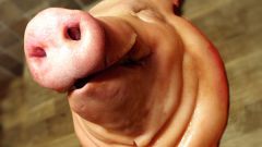 Как разделать свиную голову