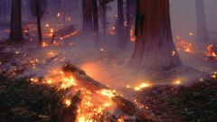 Как нарисовать пожар в лесу