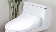 How to remove plaque on the toilet