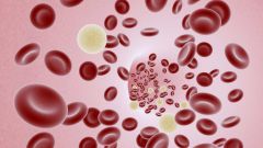 Как уменьшить вязкость крови