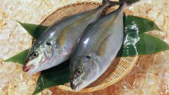 How to cook fish for a couple
