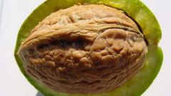 How to remove the bitterness of the walnut