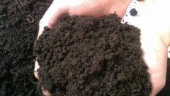 Как измерить кислотность почвы