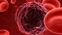 Почему появляются раковые клетки