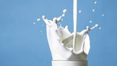 Почему прокисает молоко