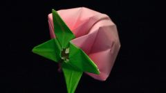 Как складывать цветок оригами