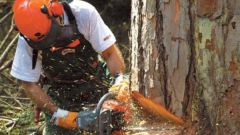 How to adjust the carburetor of a chainsaw