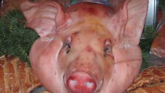 Как приготовить свиную голову