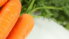 Как хранить морковь в погребе