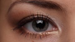 What is needed for the growth of eyelashes