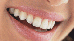 Почему зубы имеют разное строение