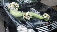 Как найти украшения для автомобиля на свадьбу