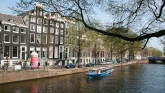 Как отдохнуть в Амстердаме