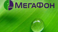 How to find the name by number of MegaFon