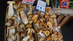 Как готовить сушеные грибы
