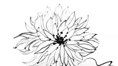 Как рисовать цветы карандашом