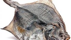 How to clean a flounder