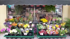 Как открыть свой цветочный магазин