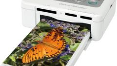 Как очистить принтер