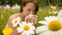 How to get rid of allergies