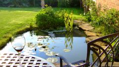 How to make a pond at the dacha with his hands