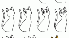 Как рисовать кошек поэтапно