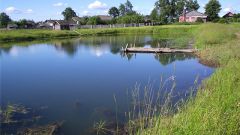 How to make a pond for fish farming