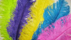 How to paint feathers