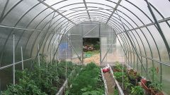 How to build a greenhouse with heating