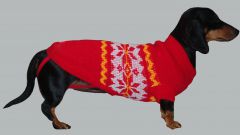 Как связать свитер собаке