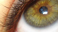 Как подчеркнуть зеленые глаза