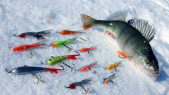 Как поймать рыбу зимой