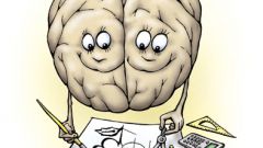 Как развивать головной мозг
