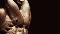 Как развить силу в мышцах